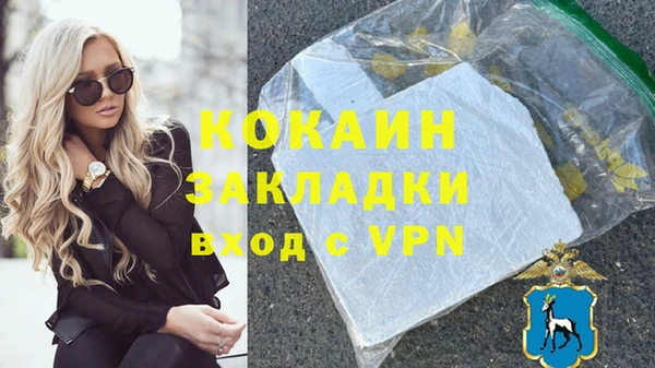 молекула духа Кулебаки