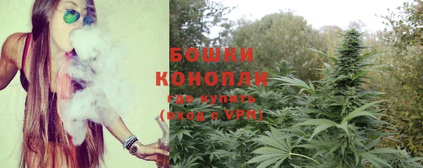 молекула духа Кулебаки