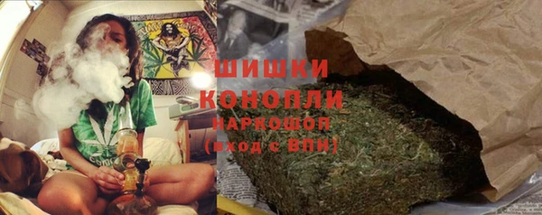 молекула духа Кулебаки