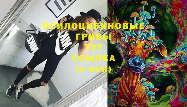 apvp Куйбышев