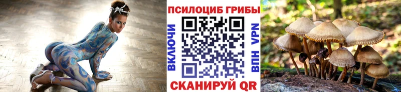 omg ССЫЛКА  купить   Ливны  Псилоцибиновые грибы Cubensis 